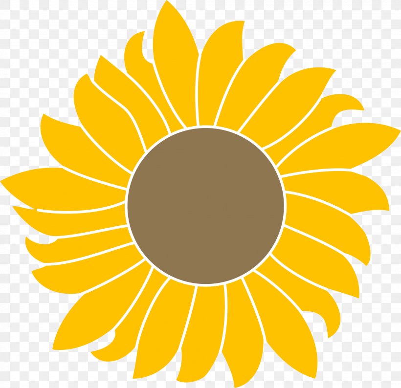 Common Sunflower Clip Art Sunflower Seed, PNG, 2000x1938px ...