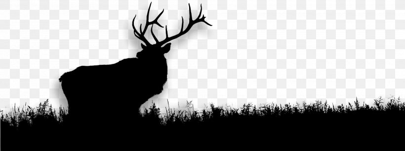 Deer Desktop Wallpaper Antler Computer Silhouette, PNG, 2000x750px, Deer, Antler, Blackandwhite, Computer, Darkness Download Free