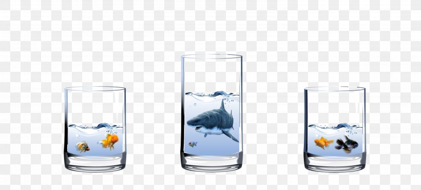 Highball Glass Water Cup, PNG, 2990x1351px, Glass, Cup, Drinkware, Fish, Highball Glass Download Free