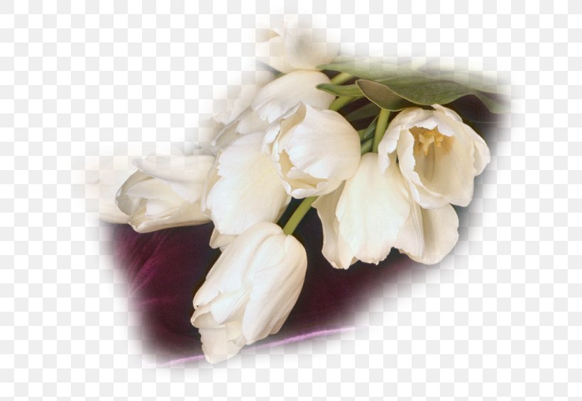 Cut Flowers Flower Bouquet Tulip Centerblog, PNG, 708x566px, Cut Flowers, Blog, Bride, Centerblog, Email Download Free