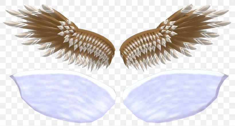 Eyelash, PNG, 1600x861px, Eyelash, Feather, Neck, Wing Download Free