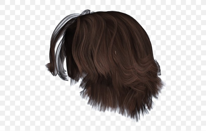 Hairstyle Wig Bun Brown Hair, PNG, 600x521px, Hair, Black, Braid, Brown, Brown Hair Download Free
