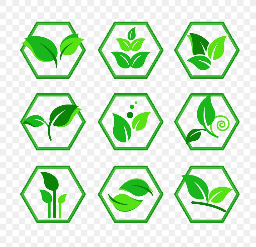 Plant Rhombus Clip Art, PNG, 800x794px, Plant, Area, Geometry, Grass, Green Download Free