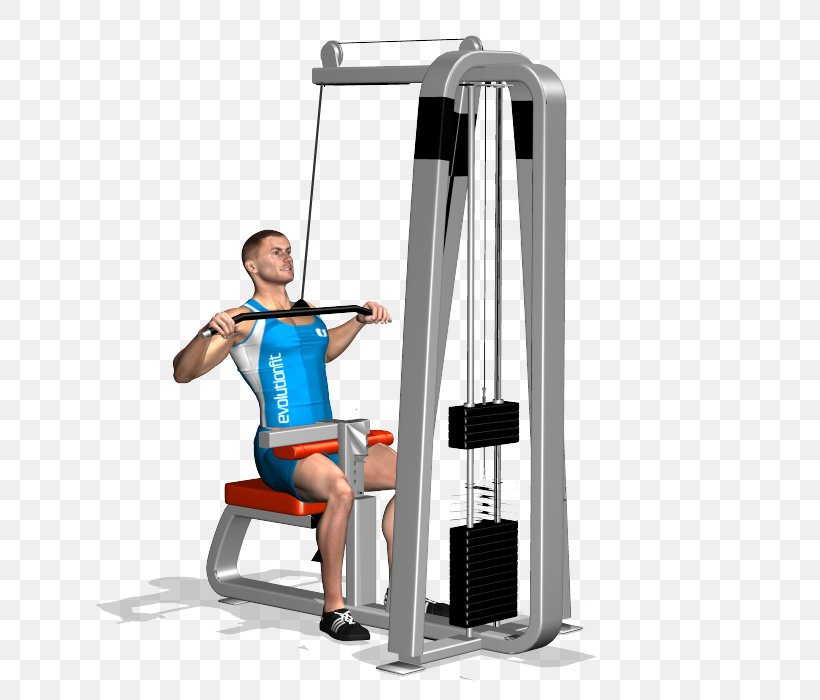 Shoulder Pulldown Exercise Latissimus Dorsi Muscle, PNG, 700x700px, Watercolor, Cartoon, Flower, Frame, Heart Download Free