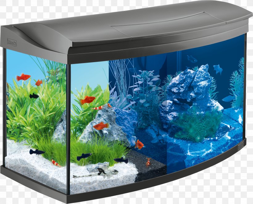 Aquarium Goldfish Tetra Liter Paludarium, PNG, 5163x4161px, Aquarium, Aquarium Decor, Aquarium Filters, Aquarium Lighting, Aquascaping Download Free