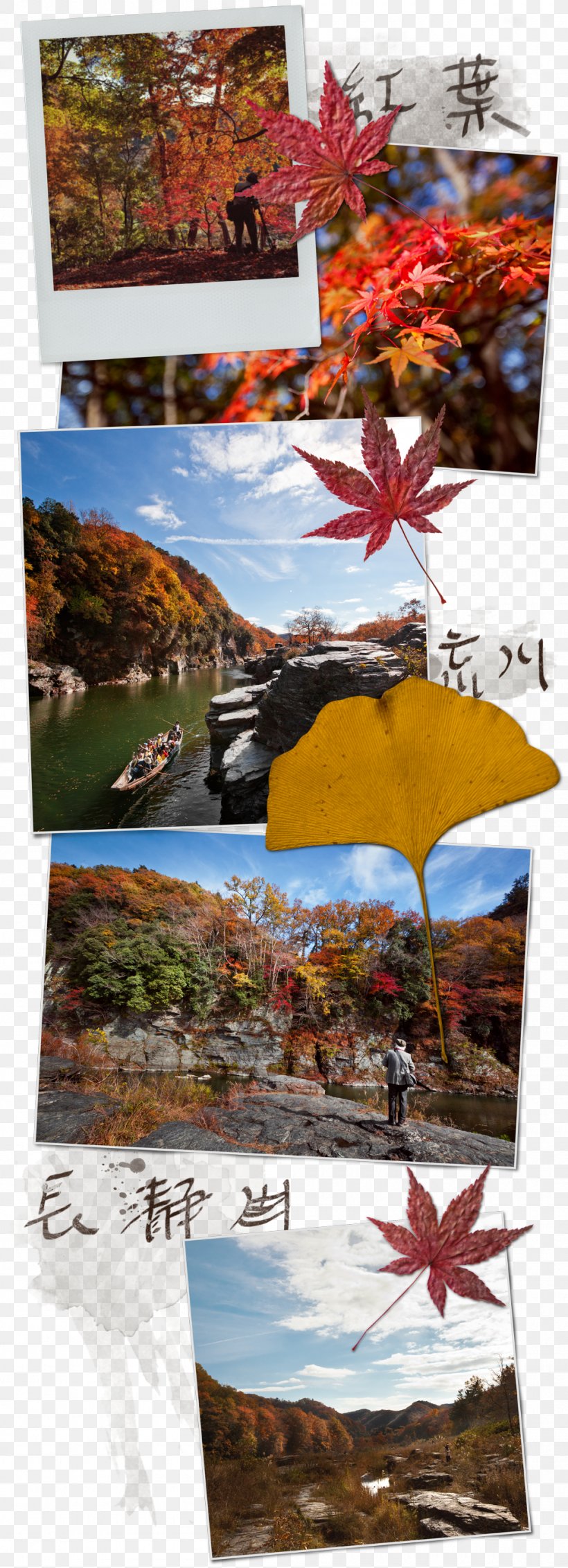 Echigo-Yuzawa Station Chichibu Yellow Hue Color, PNG, 1000x2759px, Chichibu, Autumn, Collage, Color, Hue Download Free