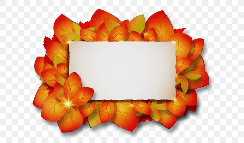 Flowers Background, PNG, 647x480px, Watercolor, Cut Flowers, Flower, Leaf, Orange Download Free