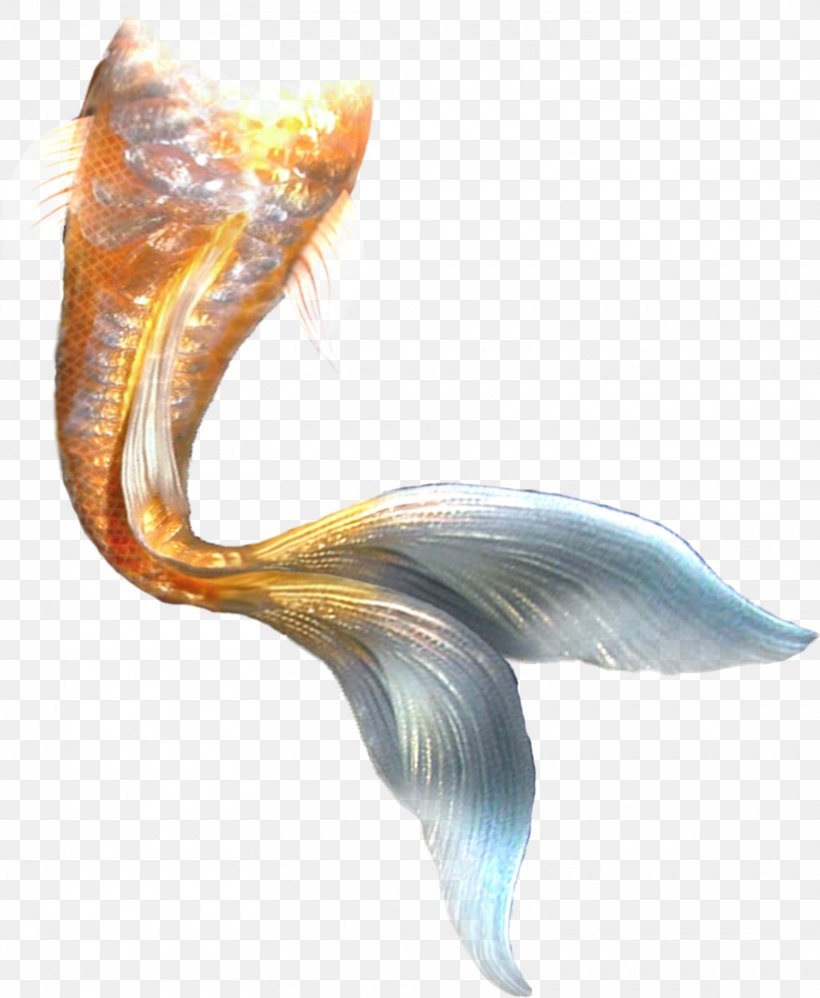 Mermaid Tail, PNG, 1560x1899px, Mermaid, Color, Color Balance, Fairy Tale, Fish Download Free