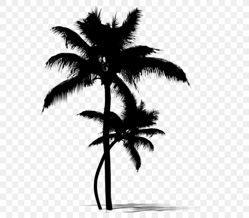 Asian Palmyra Palm Date Palm Leaf Palm Trees Silhouette, PNG, 1000x879px, Asian Palmyra Palm, Arecales, Attalea Speciosa, Blackandwhite, Borassus Download Free