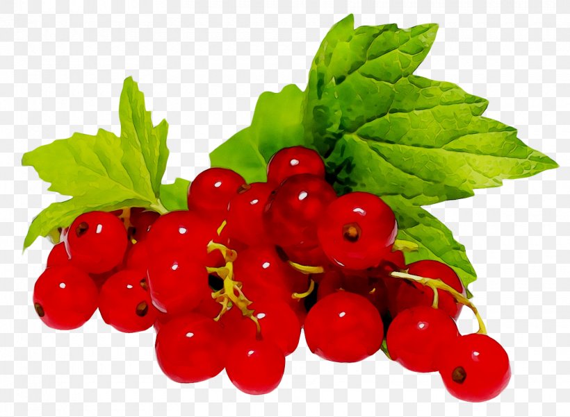 Gooseberry Zante Currant Raspberry Cranberry Redcurrant, PNG, 1720x1261px, Gooseberry, Accessory Fruit, Acerola Family, Berries, Berry Download Free