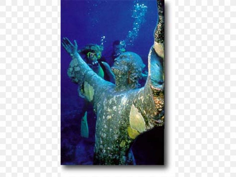 John Pennekamp Coral Reef State Park Key Largo Florida Keys Key West Christ Of The Abyss, PNG, 1024x768px, Key Largo, Aqua, Beach, Coral Reef, Florida Download Free