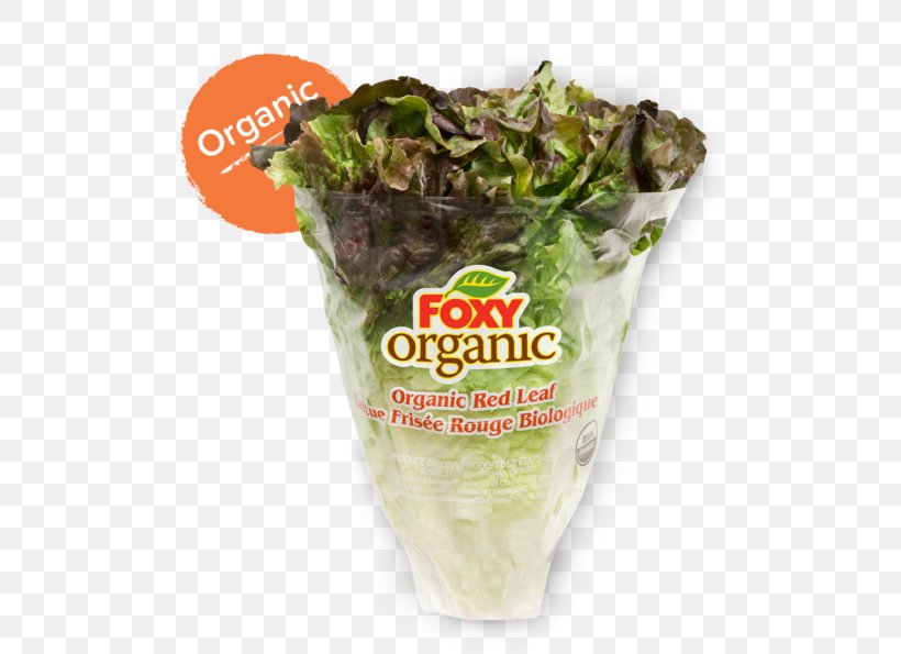 Romaine Lettuce Vegetarian Cuisine Organic Food Recipe, PNG, 600x595px, Romaine Lettuce, B Vitamins, Dish, Dish Network, Food Download Free