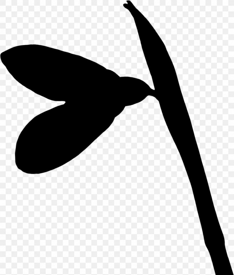 Clip Art Beak Silhouette Line H&M, PNG, 1089x1280px, Beak, Blackandwhite, Botany, Flower, Leaf Download Free