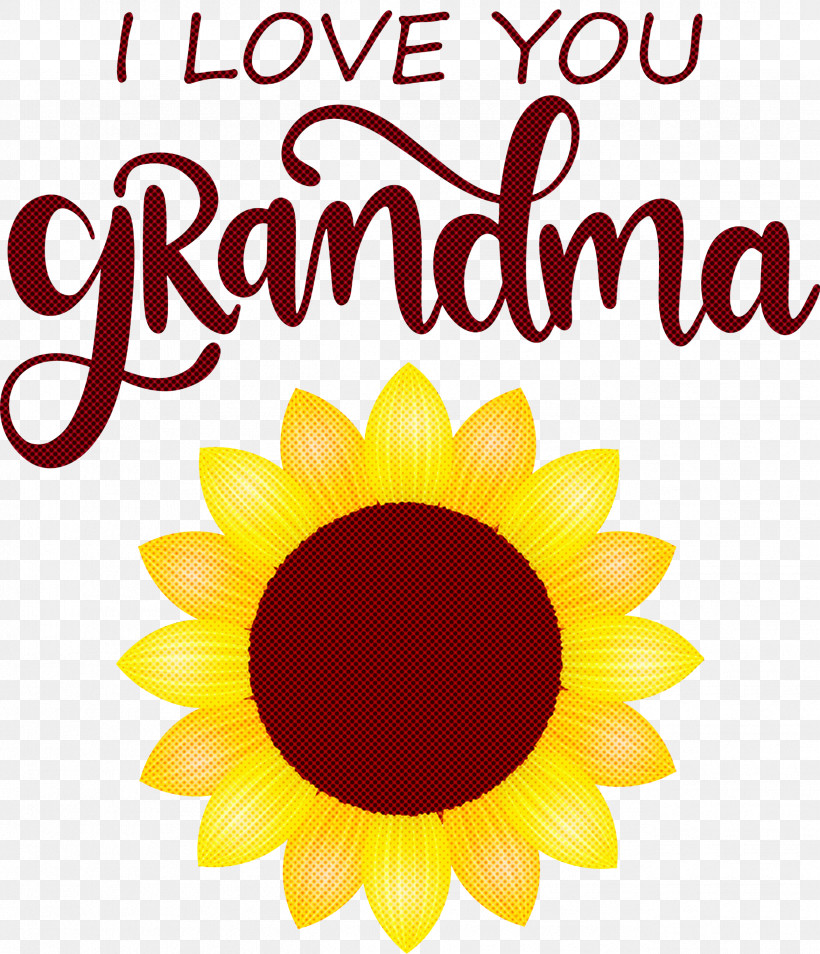 Grandmothers Day Grandma Grandma Day, PNG, 2577x3000px, Grandmothers Day, Common Daisy, Common Sunflower, Cut Flowers, Daisy Family Download Free