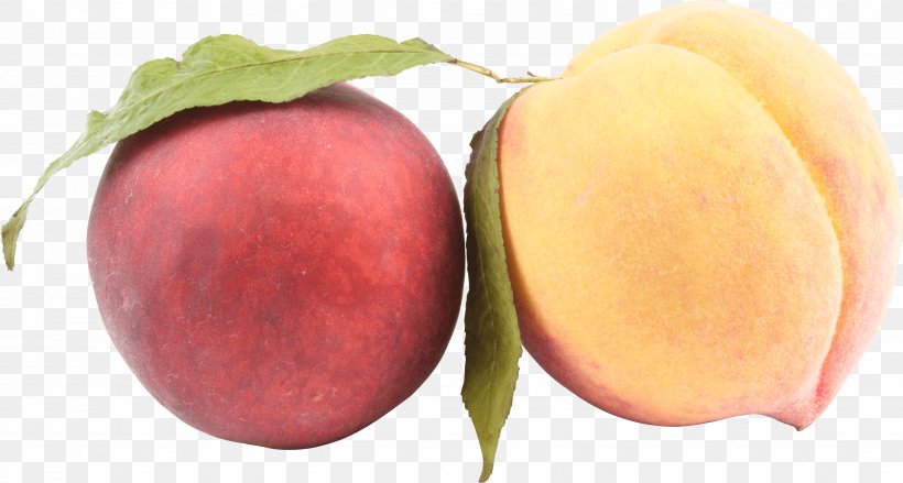 Izumisano Peaches And Cream Lunch Rosaceae, PNG, 3494x1873px, Saturn Peach, Apple, Diet Food, Food, Fruit Download Free