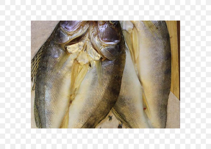 Kipper Sardine Oily Fish Fish Products Salted Fish, PNG, 580x580px, Kipper, Animal Source Foods, Closeup, Fish, Fish Products Download Free