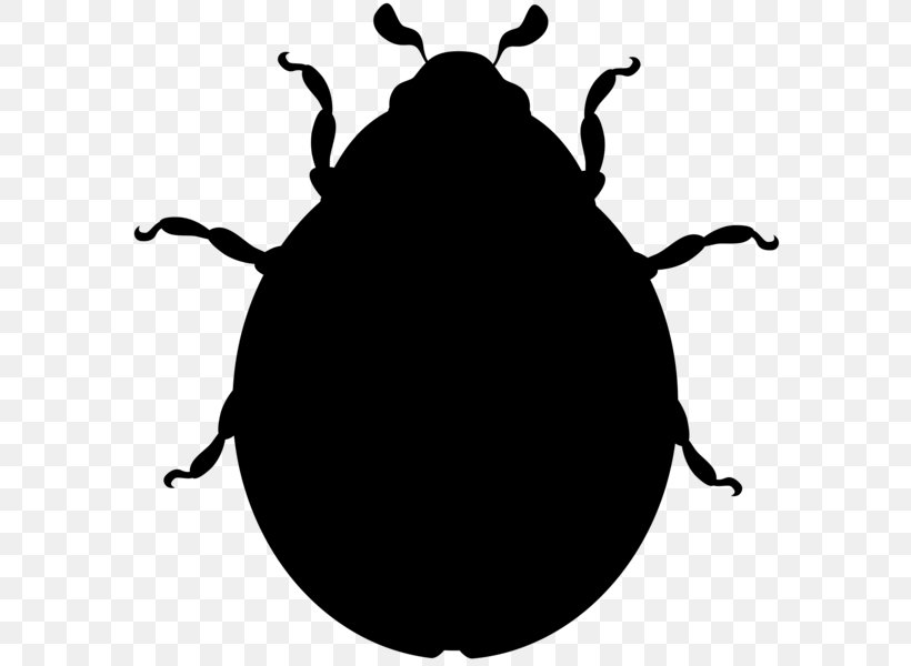 Ladybird Beetle Clip Art Image, PNG, 595x600px, Beetle, Art, Blackandwhite, Insect, Invertebrate Download Free