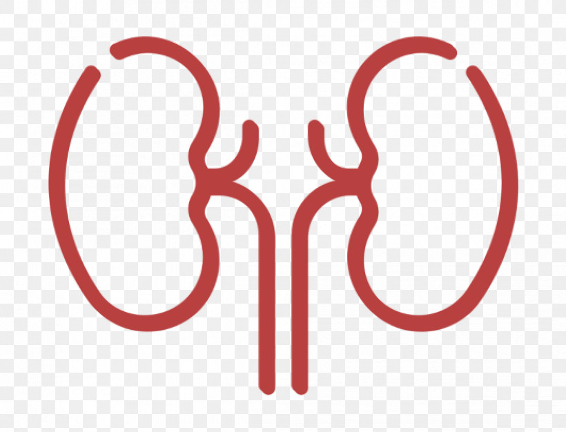 Medical Icon Kidney Icon, PNG, 1164x890px, Medical Icon, Geometry, Human Body, Jewellery, Kidney Icon Download Free