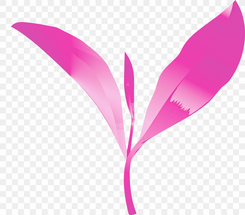 Tea Leaves Leaf Spring, PNG, 3000x2636px, Tea Leaves, Feather, Flower, Leaf, Magenta Download Free