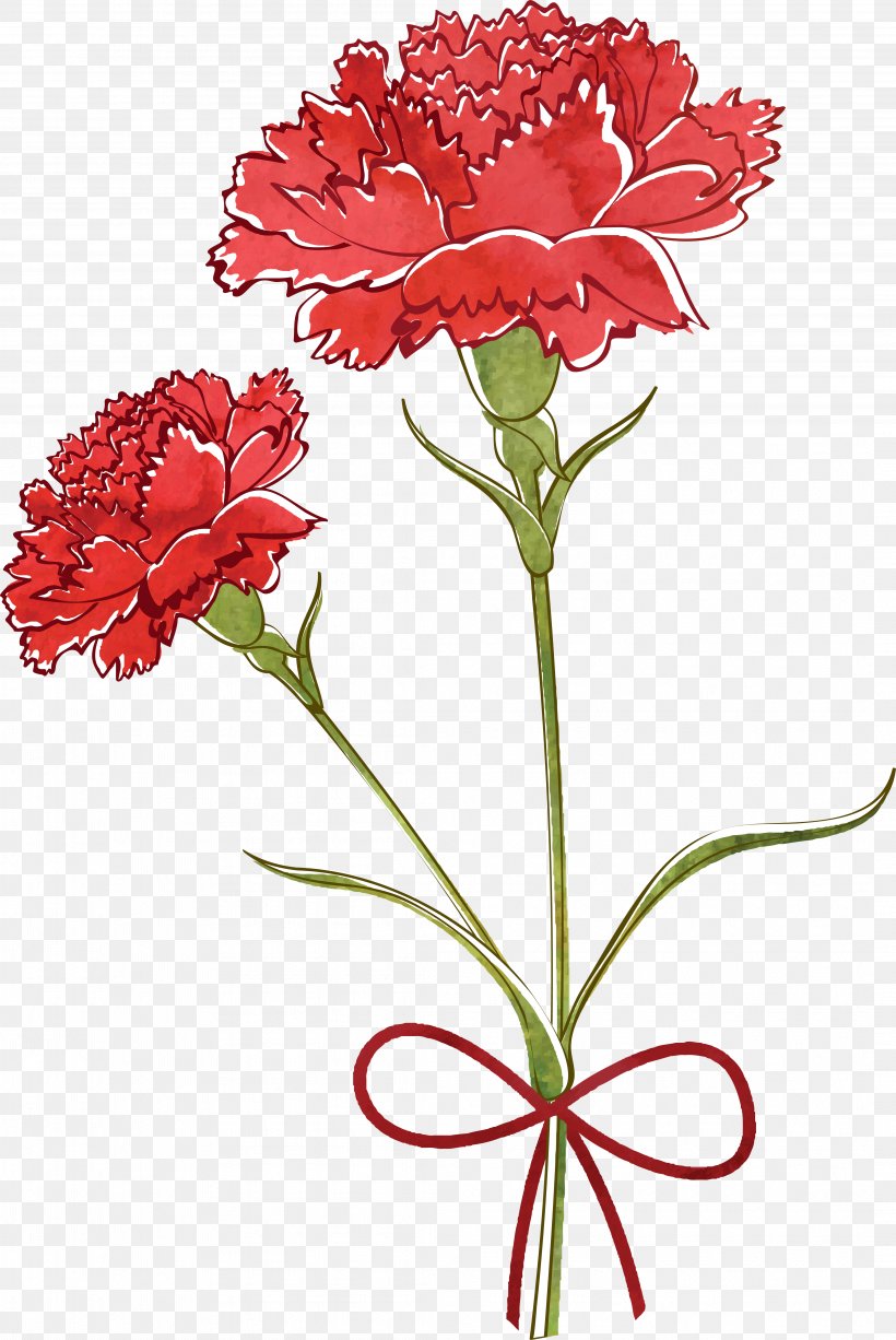 Carnation Flower Drawing Watercolor Painting, PNG, 4228x6324px, Carnation, Annual Plant, Art, Chrysanths, Color Download Free