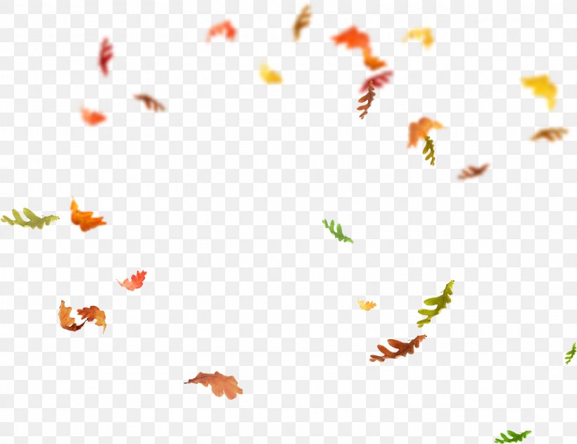 Leaf Overlay, PNG, 1600x1232px, Leaf, Branch, Butterfly, Computer Program, Flora Download Free