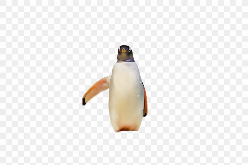 Penguin, PNG, 2448x1632px, Penguin, Beak, Bird, Emperor Penguin, Flightless Bird Download Free