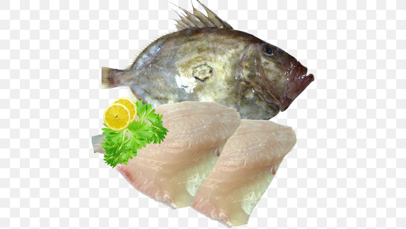 Sashimi Smoked Salmon Recipe Tilapia Fish Fillet, PNG, 450x463px, Sashimi, Animal Source Foods, Cooking, Dish, Fillet Download Free