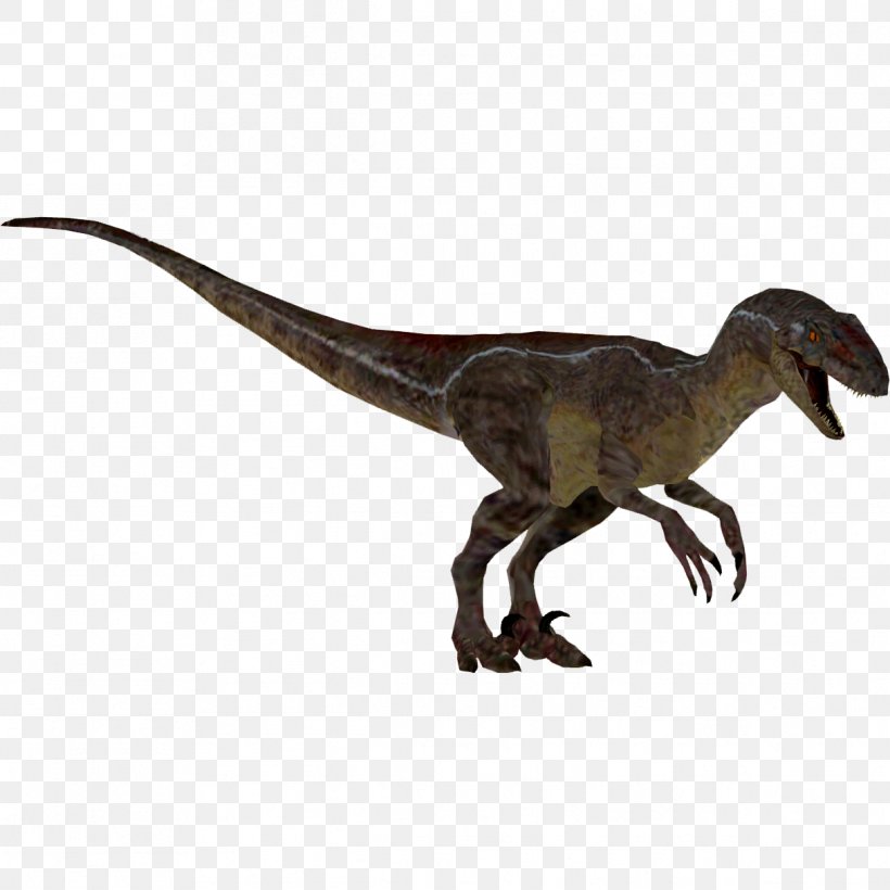 Velociraptor Zoo Tycoon 2: Marine Mania Zoo Tycoon: Dinosaur Digs Zoo Tycoon 2: Extinct Animals Zoo Tycoon 2: Endangered Species, PNG, 1217x1217px, Velociraptor, Animal Figure, Beak, Brachiosaurus, Dinosaur Download Free