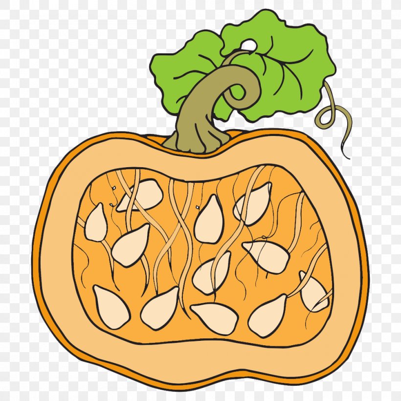 Clip Art Pumpkin Seed Openclipart Pumpkin Pie, PNG, 1000x1000px, Pumpkin, Area, Artwork, Commodity, Diagram Download Free