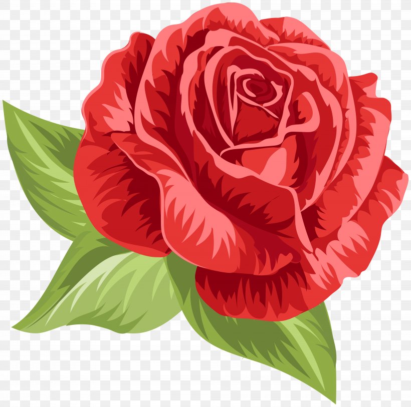 Garden Roses Cabbage Rose Floribunda Flower Clip Art, PNG, 8000x7940px, Garden Roses, Annual Plant, Cabbage Rose, Cut Flowers, Floral Design Download Free