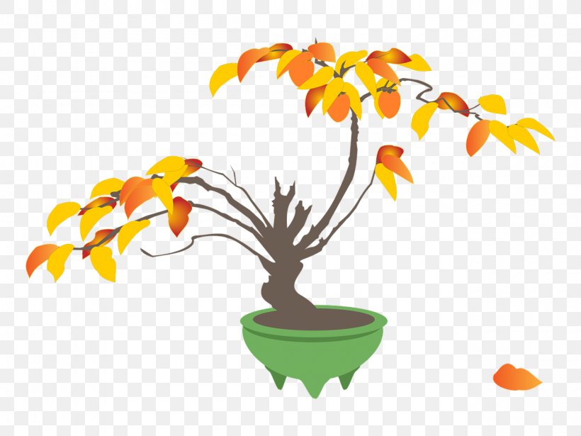Japanese Persimmon Tree Flowerpot, PNG, 1280x960px, Japanese Persimmon, Autumn, Bonsai, Branch, Flower Download Free