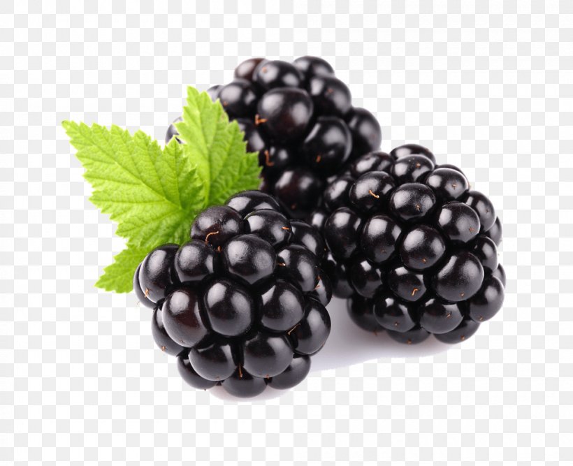 Tayberry Blackberry Fruit Raspberry, PNG, 1000x814px, Tayberry, Berry, Bilberry, Blackberry, Boysenberry Download Free