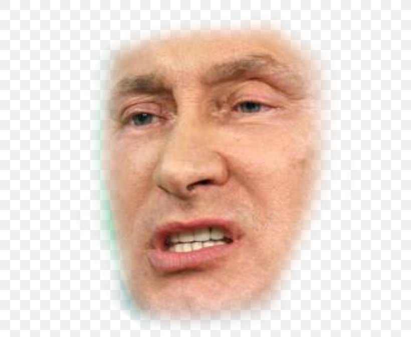 Vladimir Putin President Of Russia United States News, PNG, 600x674px, Vladimir Putin, Army Officer, Bill Browder, Cheek, Chin Download Free