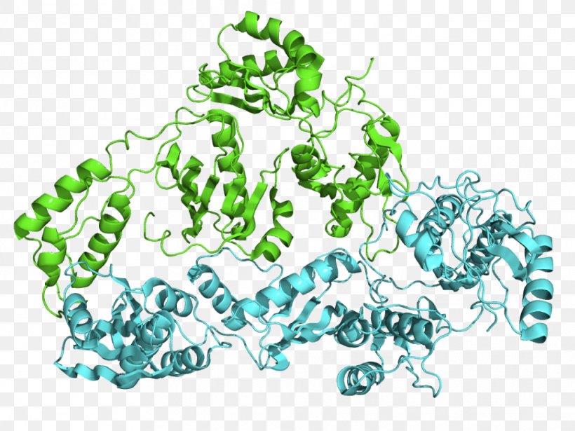 Reverse Transcriptase RNA Enzyme Transcription Virus, PNG, 1012x759px, Reverse Transcriptase, Complementary Dna, Dna, Dna Polymerase, Dna Replication Download Free