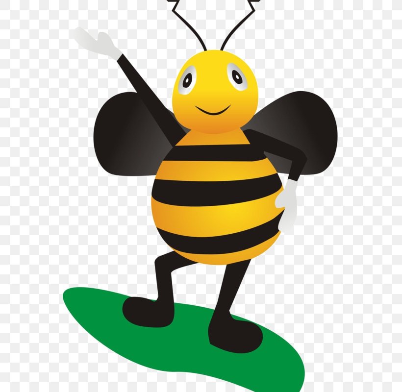 Apidae Apis Florea Cartoon, PNG, 563x800px, Apidae, Apis Florea, Beak, Bee, Cartoon Download Free