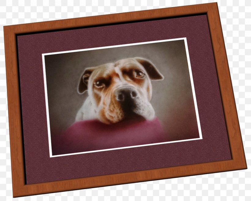 Dog Breed Puppy Snout Picture Frames, PNG, 1035x828px, Dog Breed, Breed, Carnivoran, Crossbreed, Dog Download Free