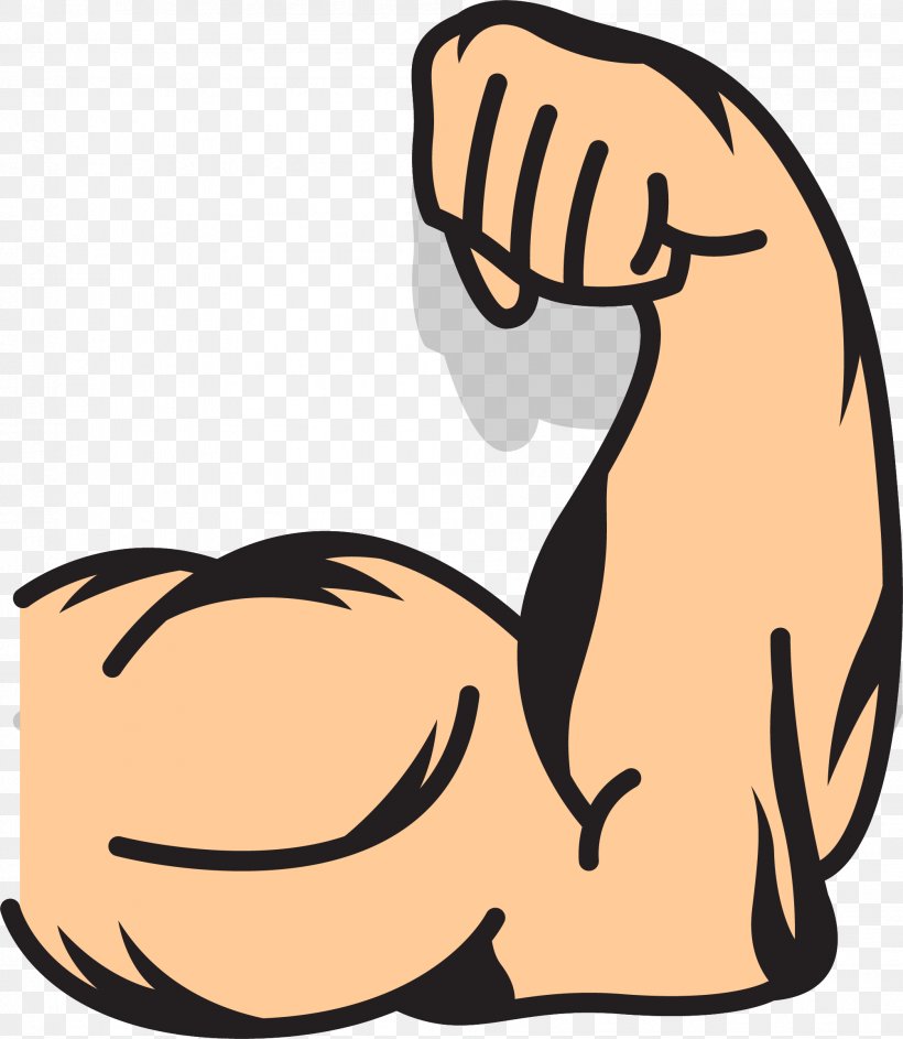 Muscle Arms Muscle Arms Clip Art, PNG, 2006x2308px, Arm, Arm Architecture, Art, Boy, Carnivoran Download Free