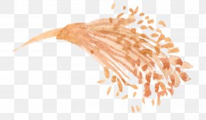 Aloe - Drawing Watercolor Painting Illustration PNG