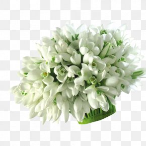 Creative Valentine's Day - Floral Design Cut Flowers Flower Bouquet Artificial Flower PNG