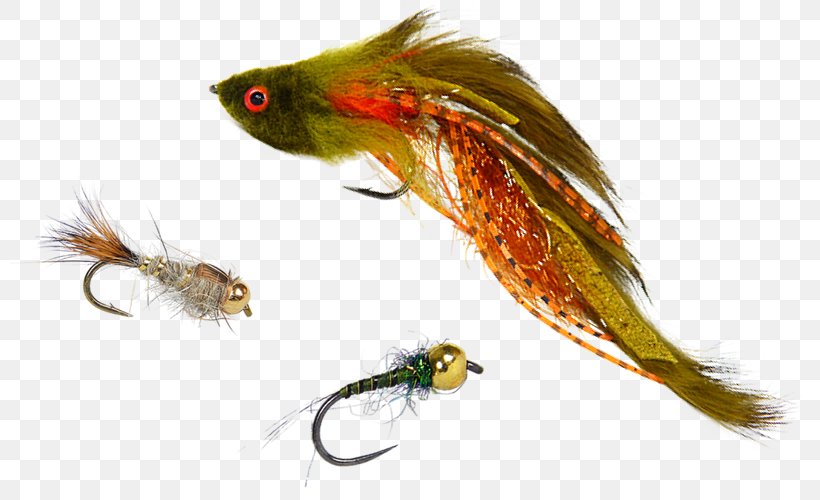 Fly Fishing Pheasant Tail Nymph Trout Artificial Fly, PNG, 800x500px, Fly Fishing, Artificial Fly, Bait, Brown Trout, Feather Download Free
