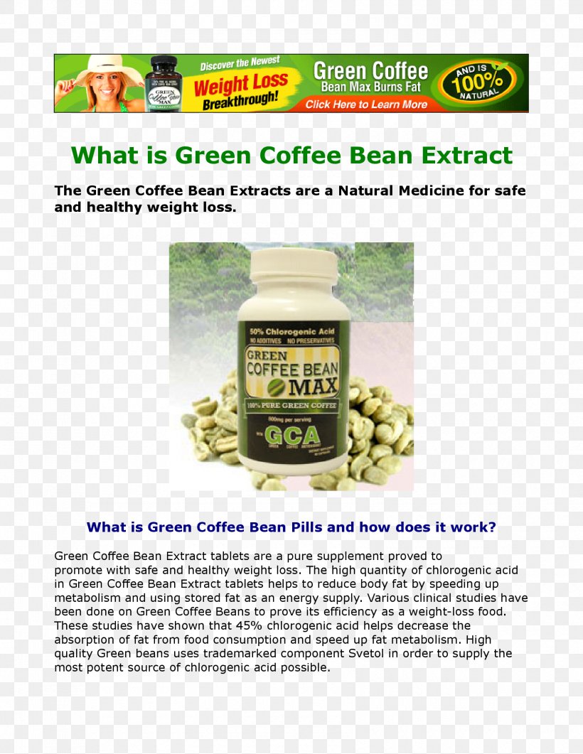 Green Tea Superfood Coffee Bean, PNG, 1700x2200px, Green Tea, Coffee Bean, Superfood Download Free