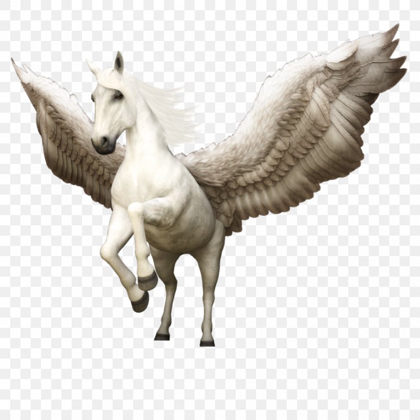 Horse Pegasus Greece Cavalo-alado Winged Unicorn, PNG, 894x894px, Horse, Cavaloalado, Fauna, Feather, Flying Horses Download Free