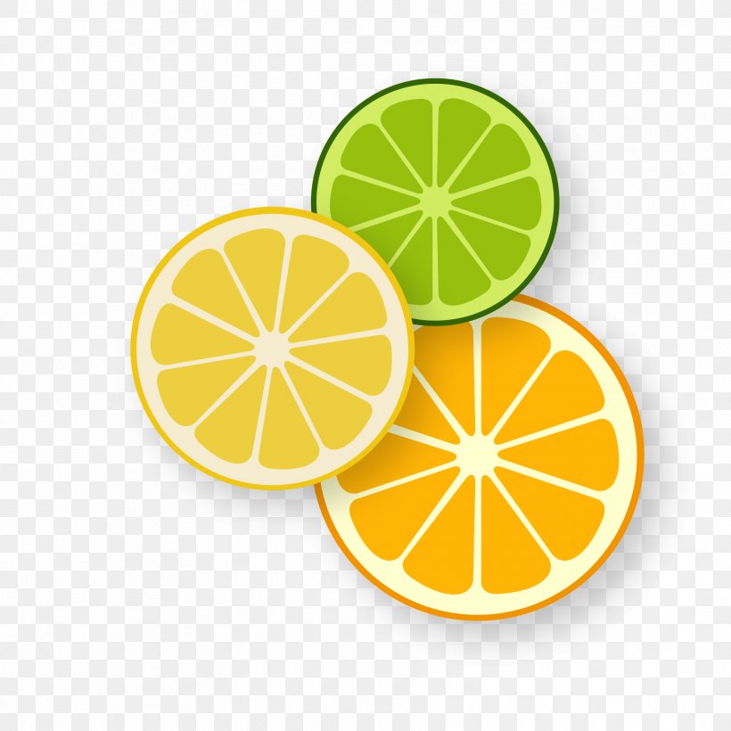 Lemon Orange Image Fruit, PNG, 1772x1772px, Lemon, Cartoon, Citric Acid, Citron, Citrus Download Free