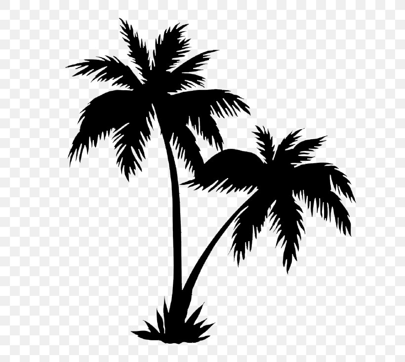 Drawing Palm Tree Line Drawing Png