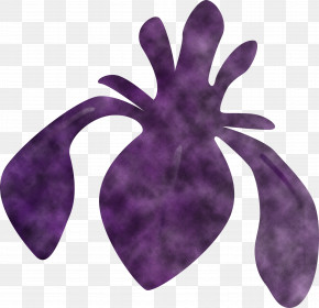 Iris Flower Spring Flower PNG