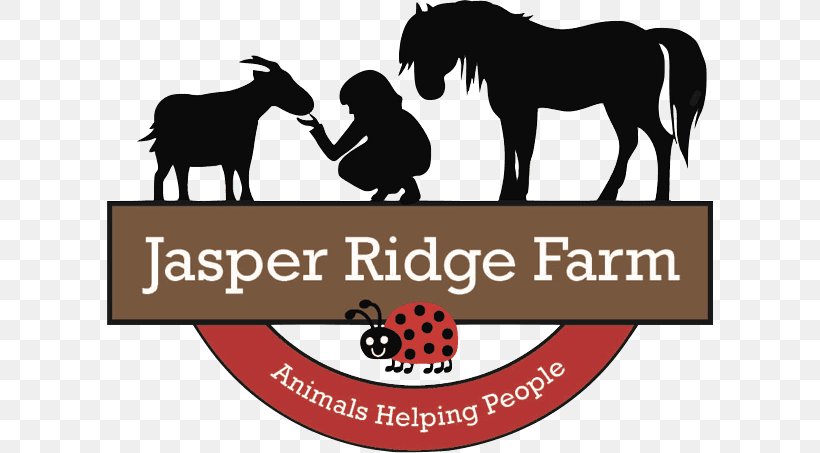 Jasper Ridge Farm Animal Farm Snowball Horse, PNG, 606x453px, Animal Farm, Animal, Animalassisted Therapy, Brand, Farm Download Free