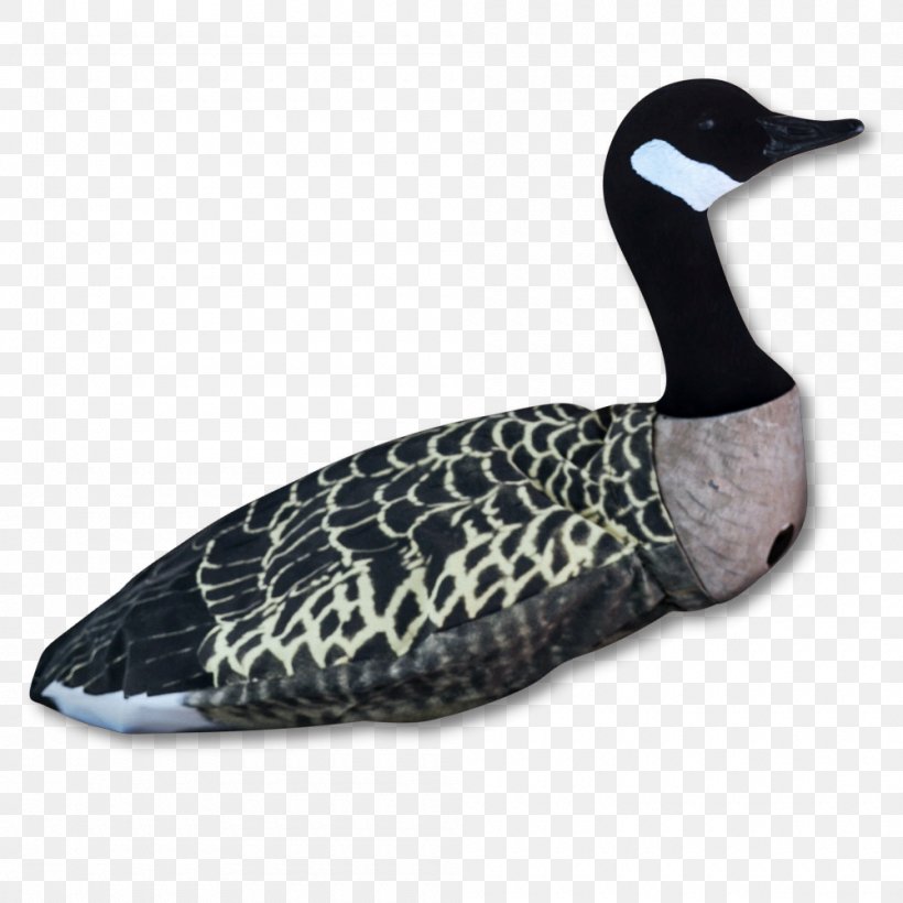 Mallard Greylag Goose Duck Waterfowl Hunting, PNG, 1000x1000px, Mallard, Beak, Bird, Canada, Canada Goose Download Free