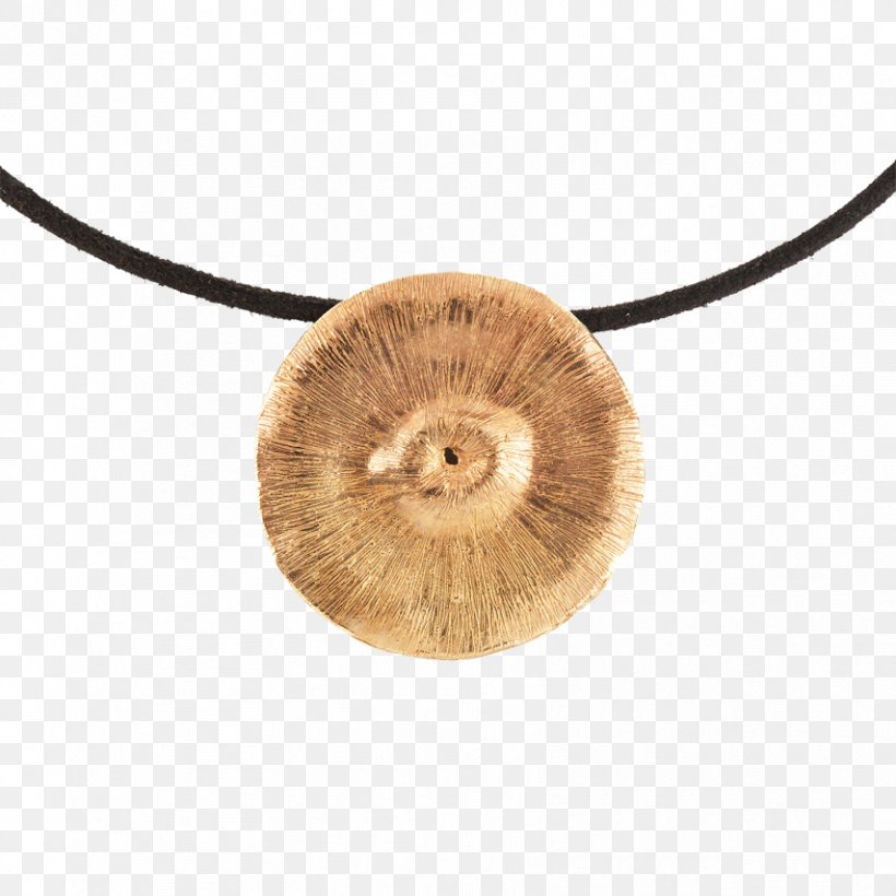 Necklace, PNG, 854x854px, Necklace, Fur, Jewellery Download Free