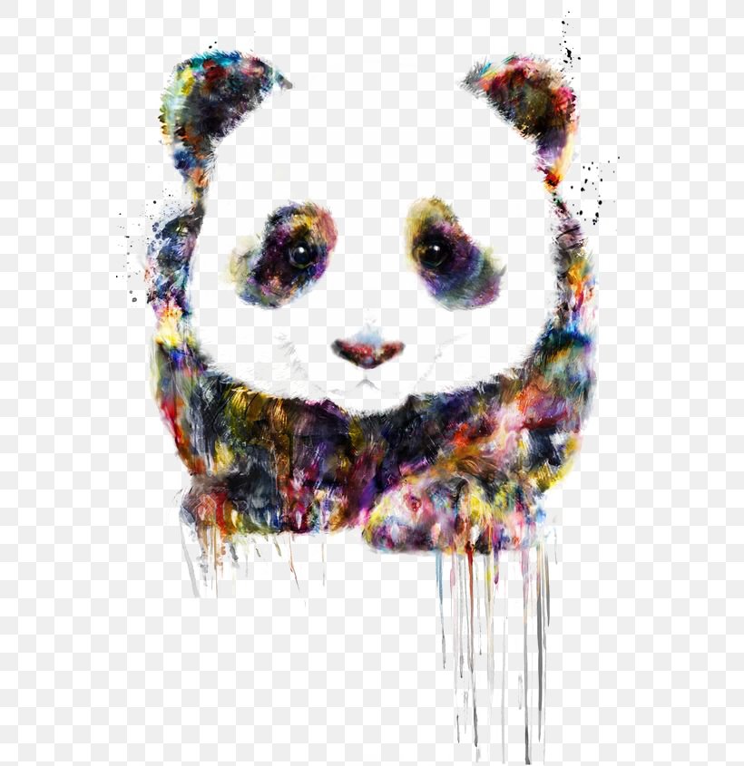 Giant Panda Bear Cuteness Drawing Raccoon, PNG, 564x845px, Giant Panda, Art, Artist, Bear, Canvas Download Free