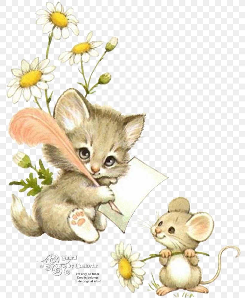 Kitten Ragdoll Persian Cat Asian Semi-longhair Mouse, PNG, 800x999px, Kitten, Animal, Asian Semilonghair, Canidae, Carnivoran Download Free